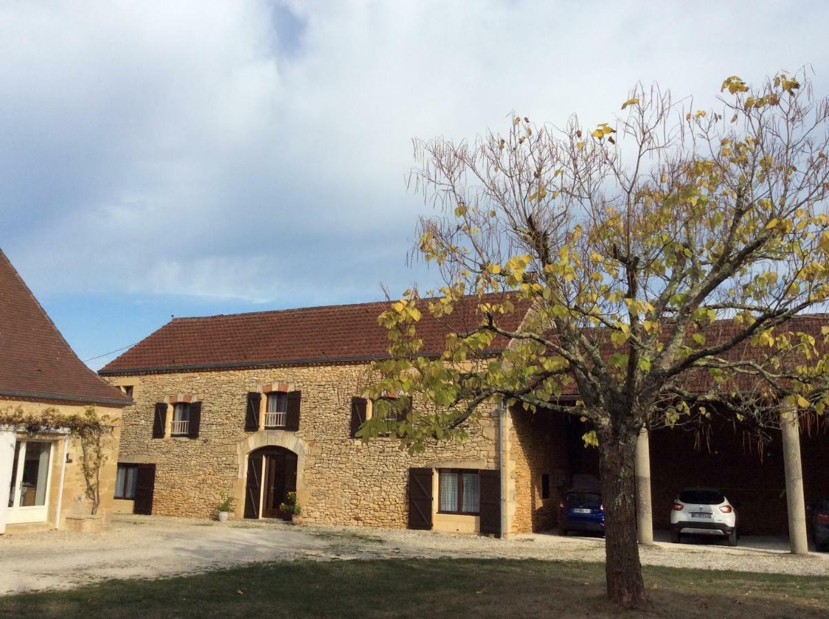 Вилла Domaine De Manilau Le Buisson-de-Cadouin Экстерьер фото